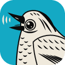 SoundCraft official icon